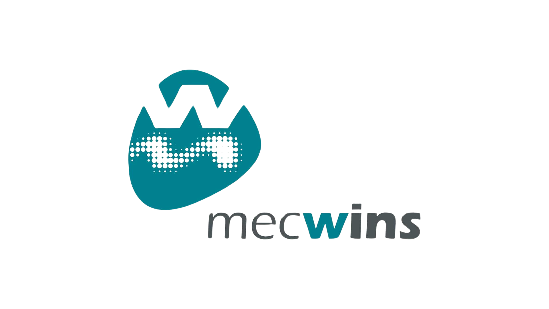 MecWings